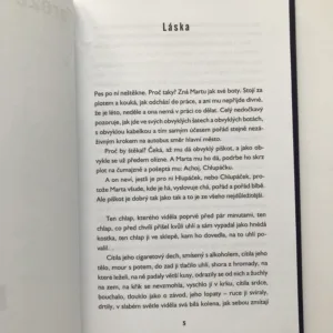 Šíleně smutné povídky, Tereza Boučková