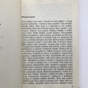 V nejkrásnějším městě světa, Tadeusz Rózewicz