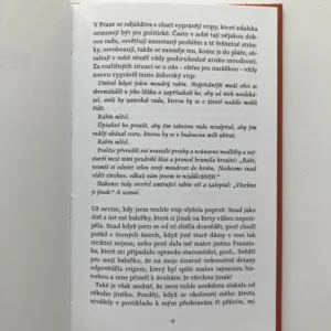 Lodní lístek, Lenka Reinerová