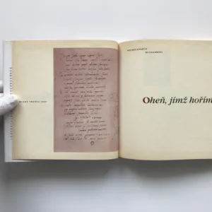 Oheň, jímž hořím, Michelangelo Buonarroti