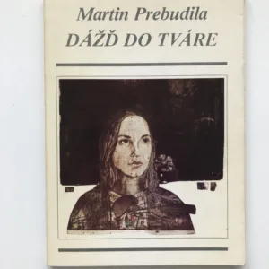 Dážď do tváre, Martin Prebudila