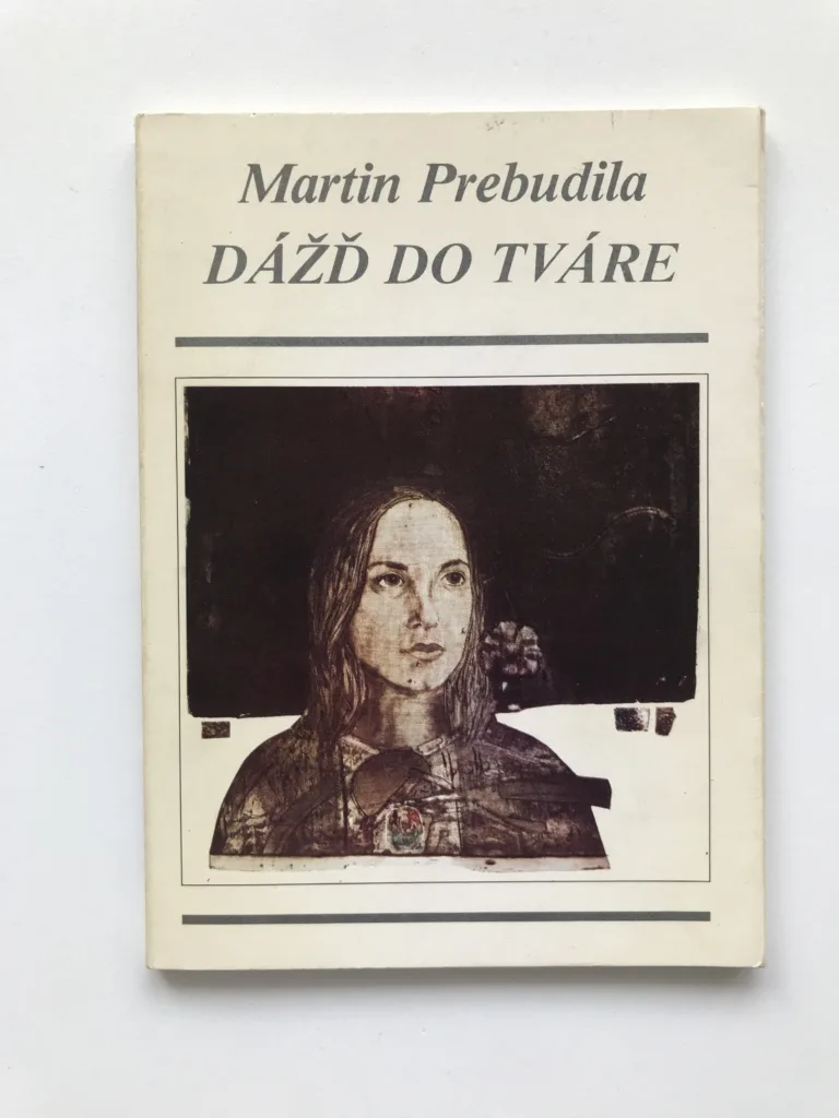 Dážď do tváre, Martin Prebudila