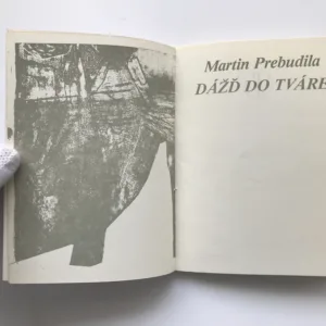 Dážď do tváre, Martin Prebudila