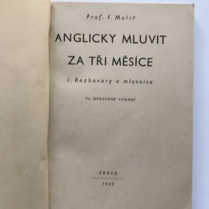 Anglicky mluvit za tři měsíce I., František Malíř