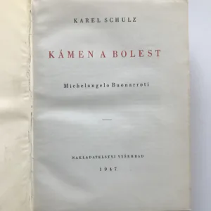 Kámen a bolest (Michelangelo Buonarroti), Karel Schulz