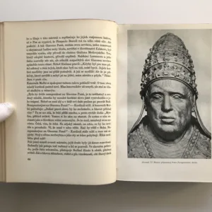 Kámen a bolest (Michelangelo Buonarroti), Karel Schulz