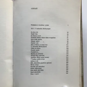 Kámen a bolest (Michelangelo Buonarroti), Karel Schulz