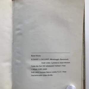 Kámen a bolest (Michelangelo Buonarroti), Karel Schulz
