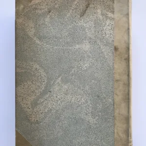 Kámen a bolest (Michelangelo Buonarroti), Karel Schulz