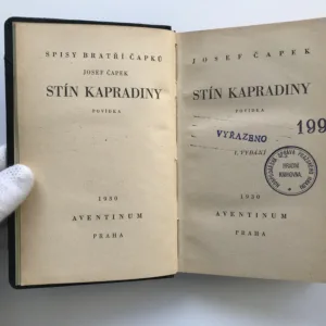 Stín kapradiny, Josef Čapek
