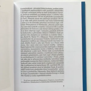 Konec Lucemburků v Čechách, Cyril Hádek