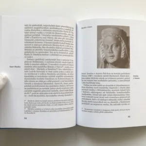 Konec Lucemburků v Čechách, Cyril Hádek