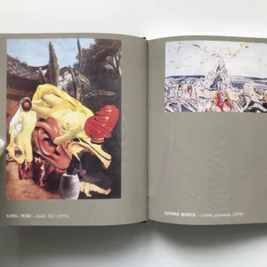 Gravitace avantgard, Vladimír Papoušek