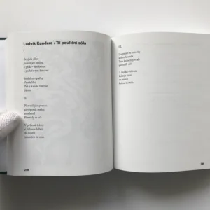 Automatická madona (Antologie Skupiny Ra), Michal Bauer