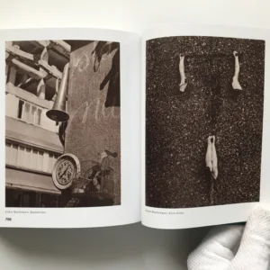 Automatická madona (Antologie Skupiny Ra), Michal Bauer