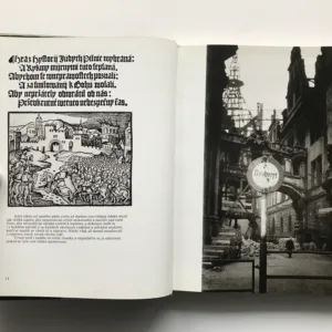 Všenáprava obrazem, Jiří Všetečka