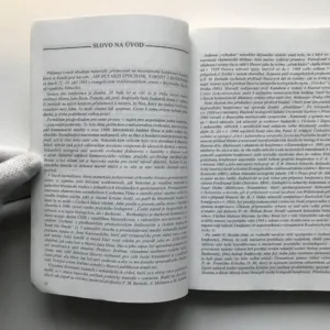 Jan Hus mezi epochami, národy a konfesemi