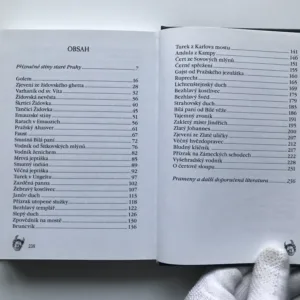 Pražská strašidla a všemožná jiná zjevení, Madgalena Wagnerová