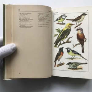 Bildwörterbuch, Deutsch und Englisch / Picture Dictionary, German and English