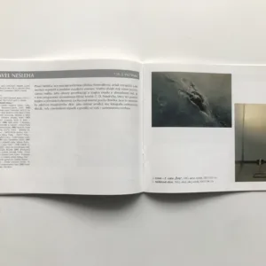 Hyperrealismus, Zdeněk Beran, Martina Vítková, Petra Finfrlová, Edith Jeřábková