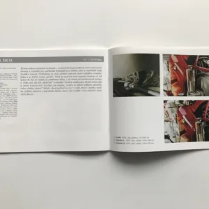 Hyperrealismus, Zdeněk Beran, Martina Vítková, Petra Finfrlová, Edith Jeřábková