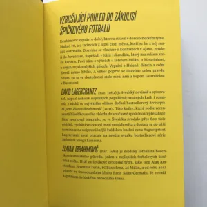 Já jsem Zlatan Ibrahimović, David Lagercrantz