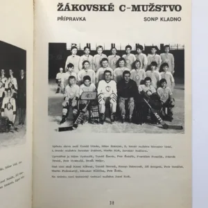 50 let kladenského hokeje, Josef Jágr