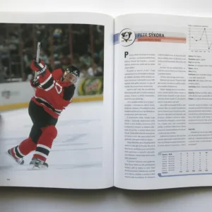 Hvězdy NHL 2003 + Češi a Slováci v sezoně 2001-02