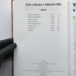 Češi a Slováci v dějinách NHL, Karel Knap