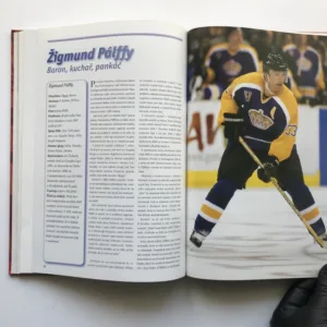 Češi a Slováci v dějinách NHL, Karel Knap