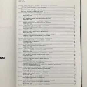 Ročenka Mistrovství světa silničních motocyklů 2003, Radek Vičík
