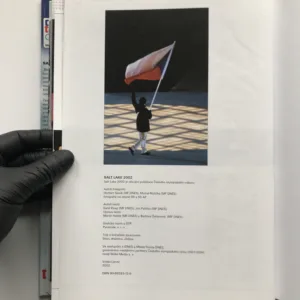 Salt Lake 2002, Herbert Slavík, Michal Růžička