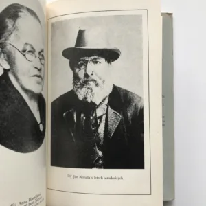 Čtení o Janu Nerudovi, Josef Špičák