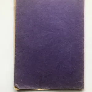 Vévodská Budeč (Popis, význam, studie), Václav Davídek