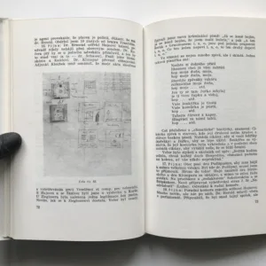 Paměti Dr. Aloise Rašína, Alois Rašín, Ladislav Rašín