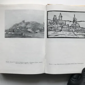 Vybrané spisy Jana Amose Komenského VIII – Autobiografické vyznání, plány, dopisy