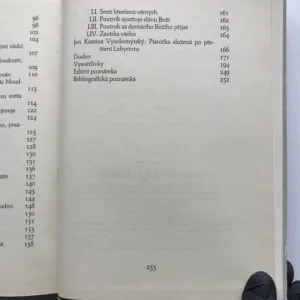 Labyrint světa a ráj srdce, Jan Amos Komenský