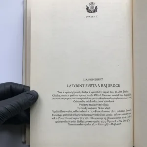Labyrint světa a ráj srdce, Jan Amos Komenský
