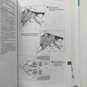 Feneisův obrazový slovník anatomie, Wolfgang Dauber