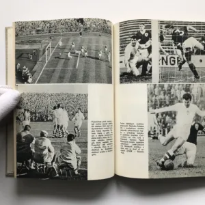 Chile 1962 – Triumf československého futbalu, Imrich Hornáček