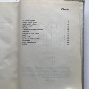 Chile 1962 – Triumf československého futbalu, Imrich Hornáček