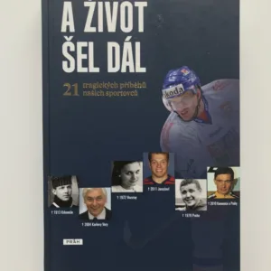 A život šel dál, Petr Feldstein