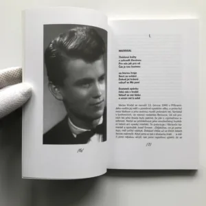 Nevyjasněná úmrtí II. (Václav Hrabě, Bohumil Hrabal, Vladimír Boudník), Jiří Hlinka