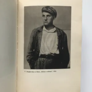 Z díla, Vladimír Majakovskij