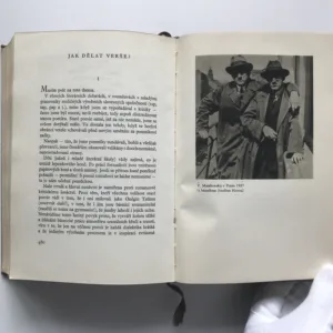 Z díla, Vladimír Majakovskij