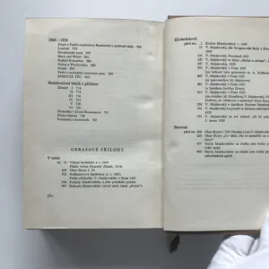 Z díla, Vladimír Majakovskij