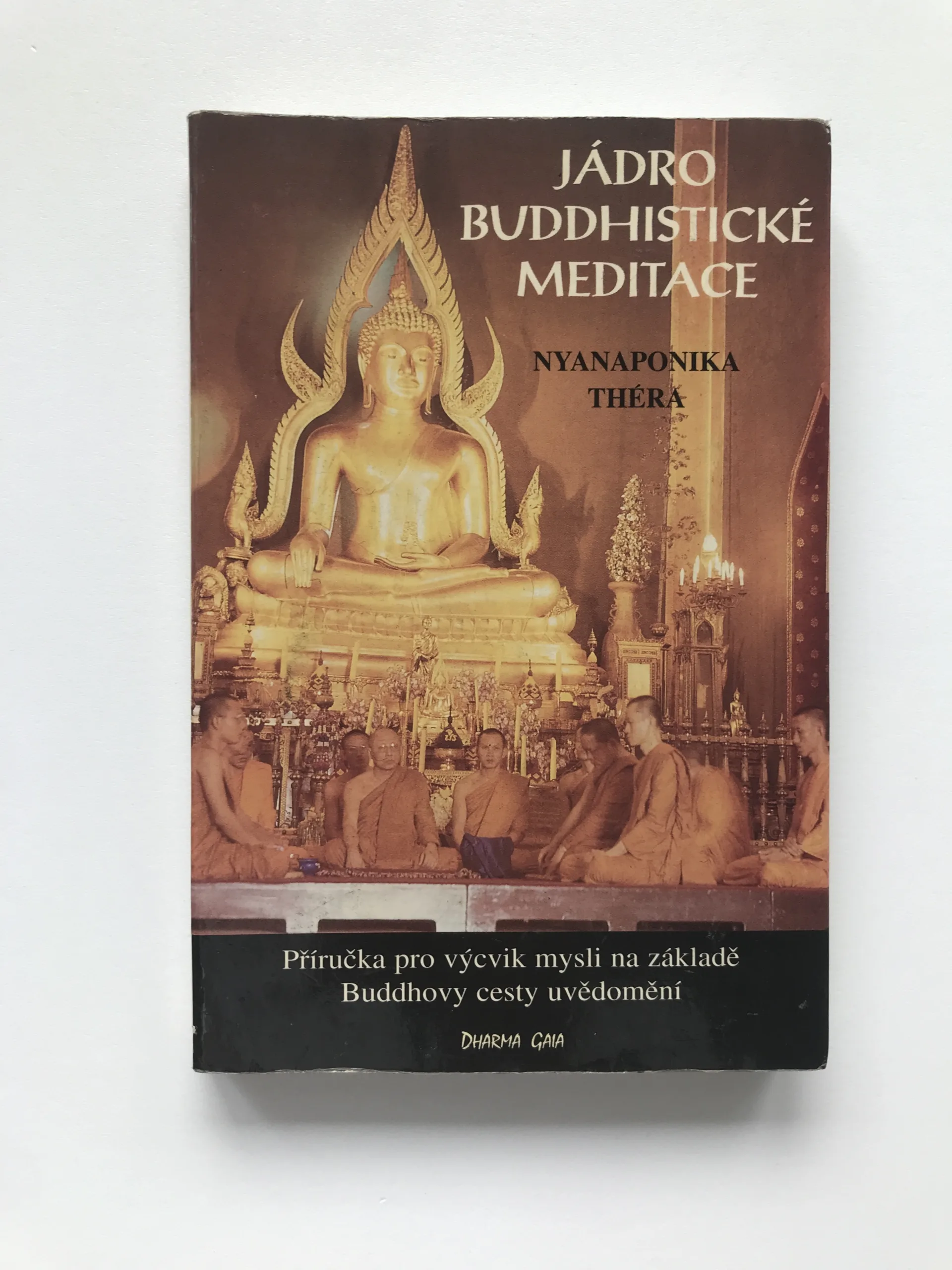 Jádro buddhistické meditace, Satipatthána, Nyanaponika Théra