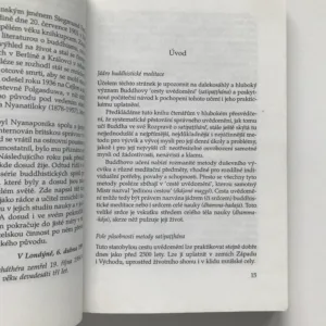 Jádro buddhistické meditace, Satipatthána, Nyanaponika Théra