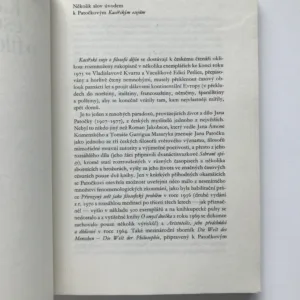 Kacířské eseje o filosofii dějin, Jan Patočka