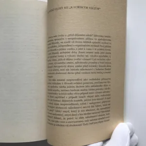 Kacířské eseje o filosofii dějin, Jan Patočka